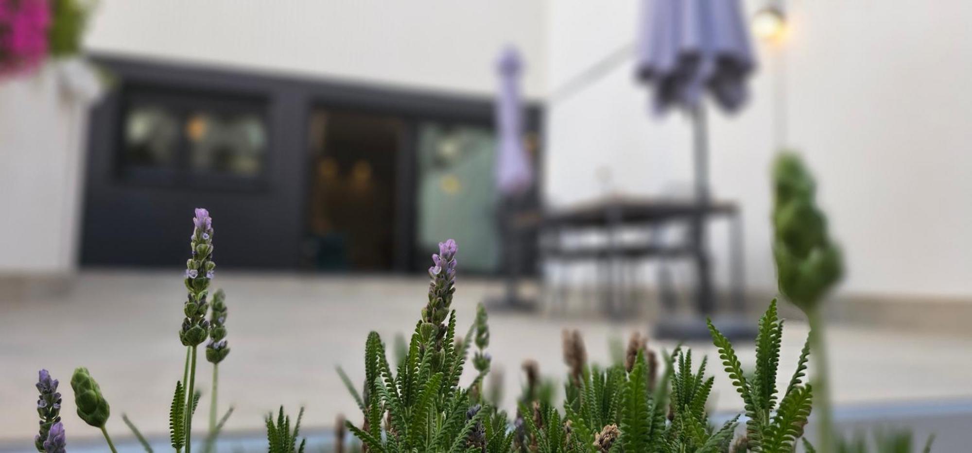 Apartament Albayda Garden Grenada Zewnętrze zdjęcie