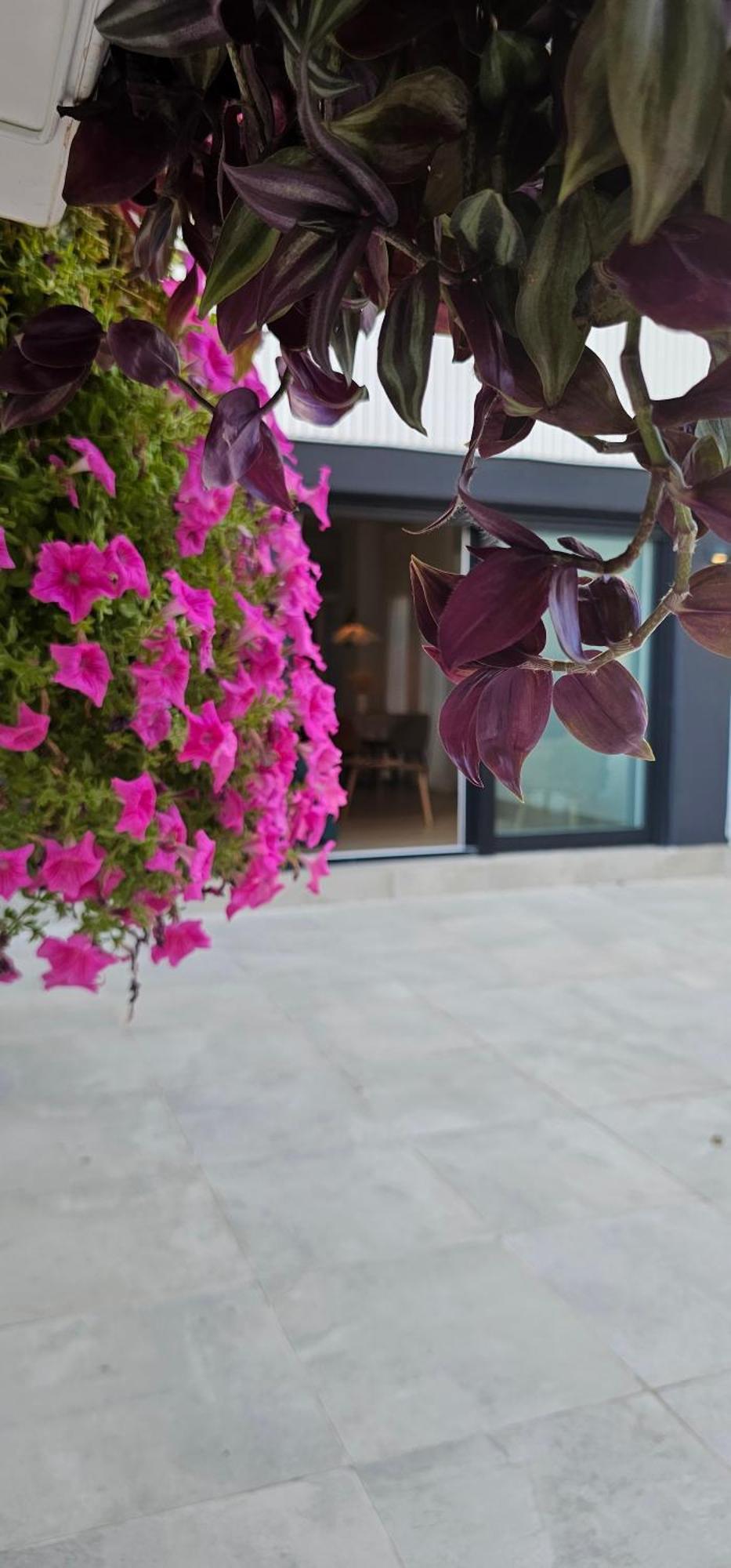 Apartament Albayda Garden Grenada Zewnętrze zdjęcie